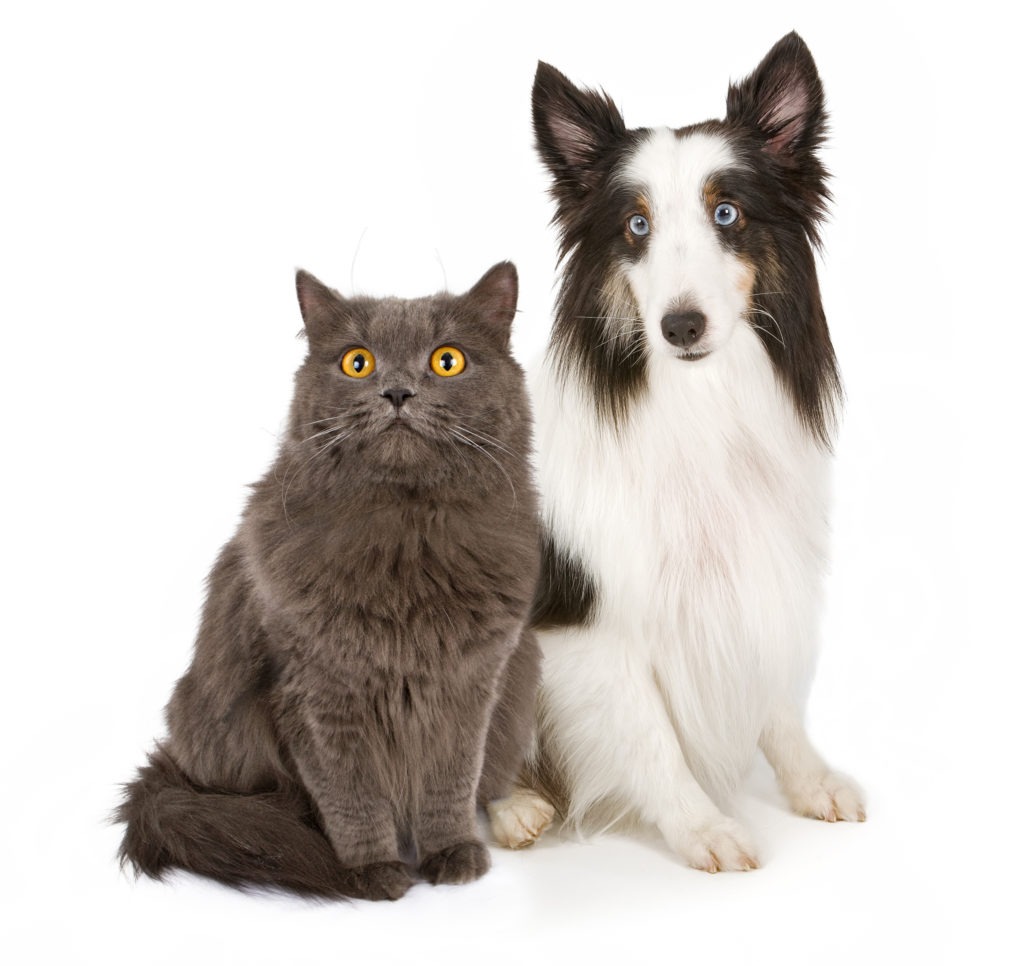 SkinMed srst - pes a kočka