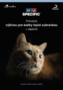Kočky s cukrovkou – brožura