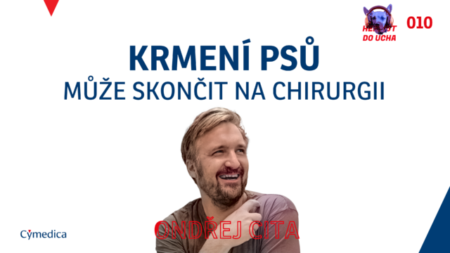 #10 – Jak hraní a krmení psů a koček může skončit na chirurgickém sále aneb co zajímavého může najít veterinář v trávicím traktu kočky nebo psa – MVDr. Ondřej Cita