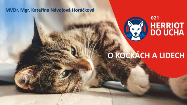 #21 O kočkách a lidech – jak se pokusit o harmonický vztah 🐈🐾- MVDr. Mgr. Kateřina Návojová Horáčková