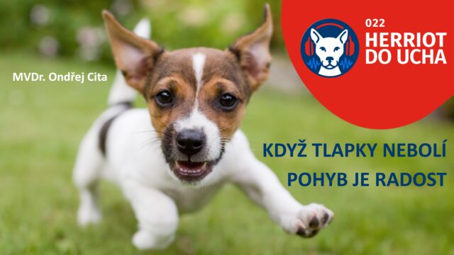 #22 Když tlapky nebolí – pohyb je radost. Prevence onemocnění kloubů u psů a koček🐈🐶🐾 – MVDr. Ondřej Cita