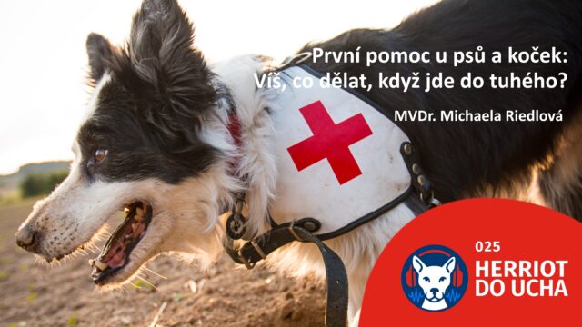 #25 První pomoc u psů a koček: víš, co dělat, když jde do tuhého? – MVDr. Michaela Riedlová