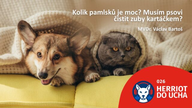 #26 Speciál – Ptali jste se  a my odpovídáme – MVDr. Václav Bartoš