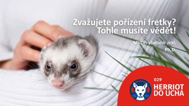 #29 Fretka – malá šelma s velkou osobností – MVDr. Vladimír Jekl, Ph.D.