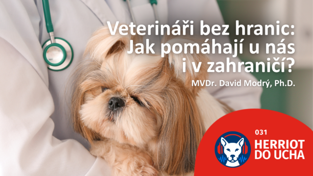 #31 Veterináři bez hranic – Jak pomáhají u nás i v zahraničí?