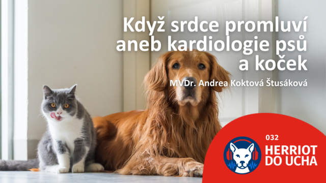 #32 Vše o kardiologii psů a koček