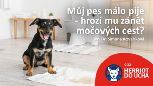 #33 Urologie a problémy  s močením – MVDr. Simona Kovaříková
